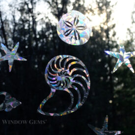 Seashell Window Gems