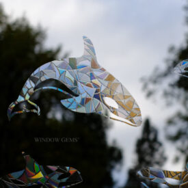 Orca Window Gems