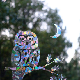 Saw-Whet Owl Window Gems