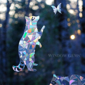 Raccoon Window Gems